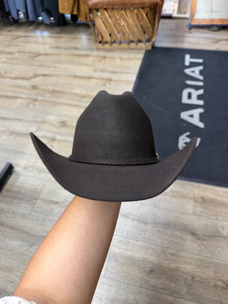 Austin Hats 100X Joan Sebastian Felt Hat (Brown)