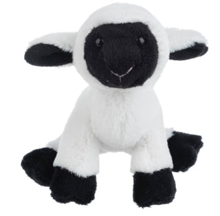 Lamb Soft Spots With Sounds