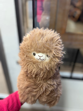 “12 Alpacachino Alpaca Plush (H150602)